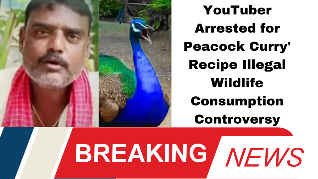 YouTuber Arrested for 'Peacock Curry' Recipe: Illegal Wildlife Consumption Controversy"