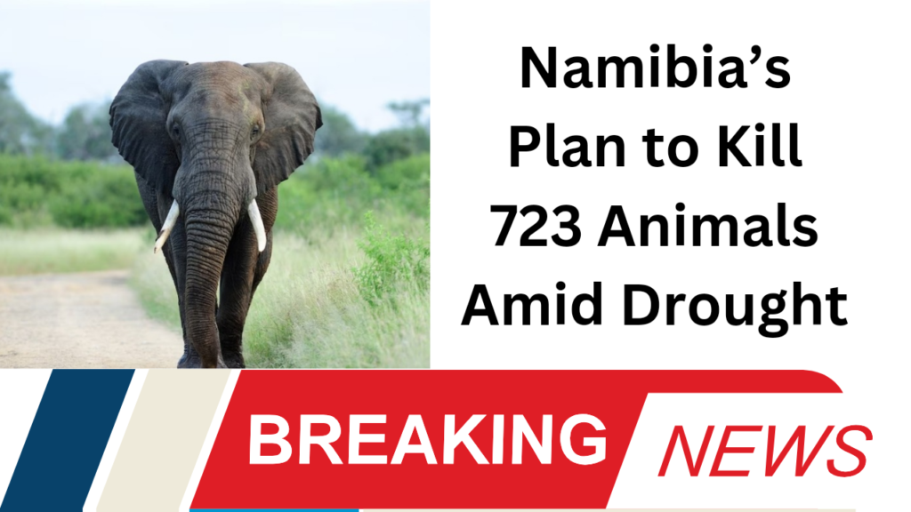 Namibia’s Plan to Kill 723 Animals Amid Drought