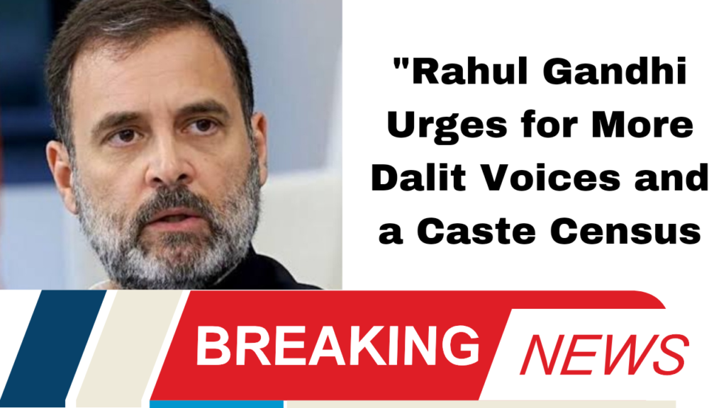 "Rahul Gandhi Urges for More Dalit Voices and a Caste Census