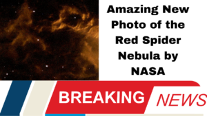 Amazing New Photo of the Red Spider Nebula by NASA