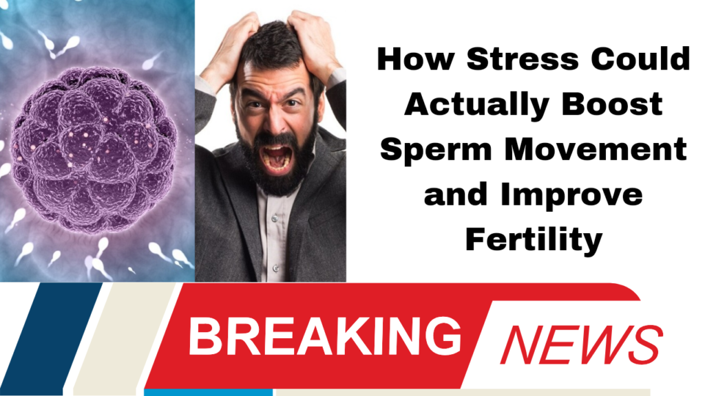 How Stress Could Actually Boost Sperm Movement and Improve Fertility