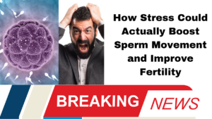 How Stress Could Actually Boost Sperm Movement and Improve Fertility