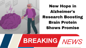 New Hope in Alzheimer's Research Boosting Brain Protein Shows Promise