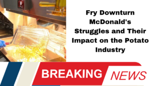 #FastFood #McDonalds #LambWeston #FrenchFries #EconomicTrends #FoodIndustry #Inflation #ConsumerBehavior #RestaurantSales #PotatoProducts